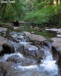 Devil's Staircase Wilderness Act