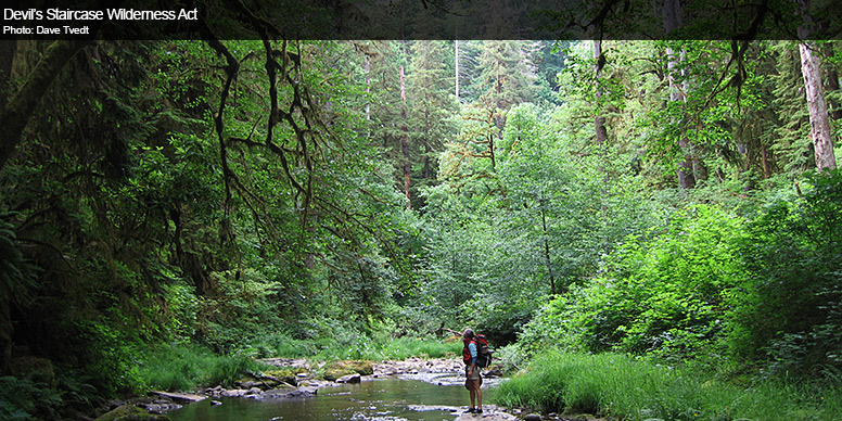 Devil's Staircase Wilderness Act