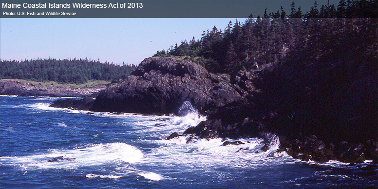 Maine Coastal Islands Wilderness Act of 2013