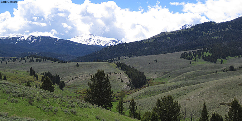 Beaverhead-Deerlodge National Forest