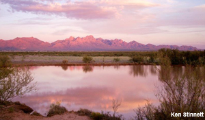 Organ Mountains-Desert Peaks Conservation Act