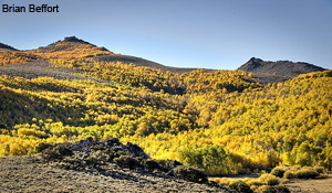 Pine Forest Range Recreation Enhancement Act of 2011 