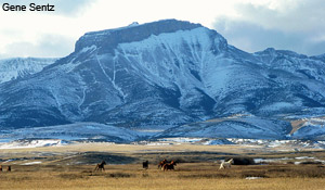 Rocky Mountain Front Heritage
