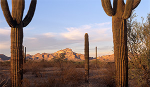 Arizona Sonoran Desert Heritage Act of 2013