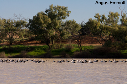 Outback Australia - Channel Country