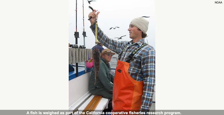 Cooperative fisheries research