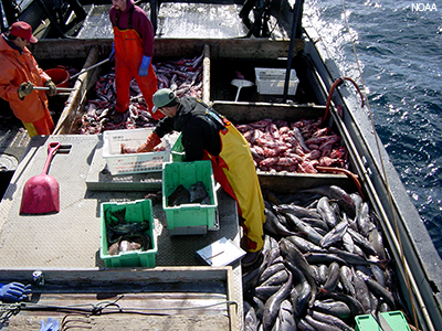 West Coast Groundfish Observer Program