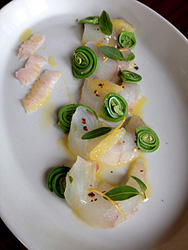 Fluke Crudo