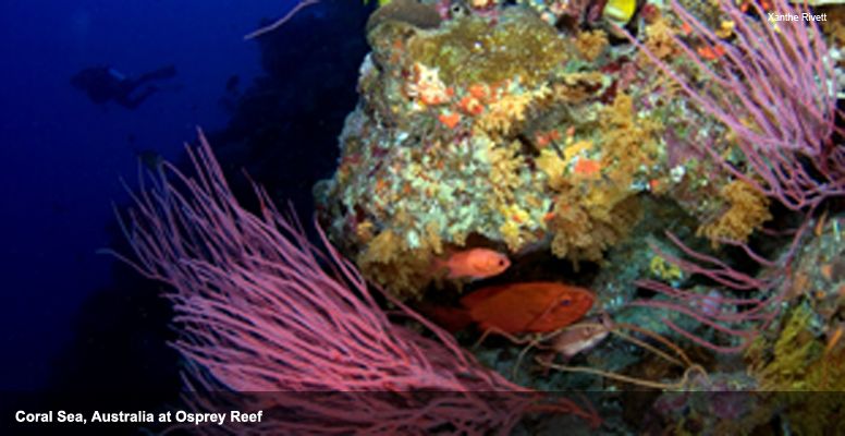 GOLCS_OSPREYREEF(v2)_776x400_np.jpg GOLCS_OSPREYREEF(v2)_776x400_np.jpg
