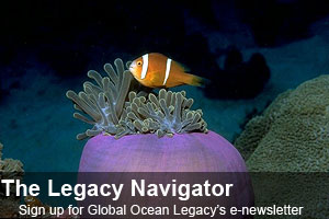 Sign up for Global Ocean Legacy's Newsletter