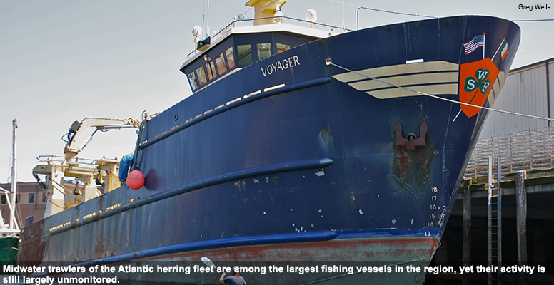 Midwater trawlers of the Atlantic herring fleet are among the largest fishing vessels in the region, yet their activity is still largely unmonitored. Midwater trawlers of the Atlantic herring fleet are among the largest fishing vessels in the region, yet their activity is still largely unmonitored.