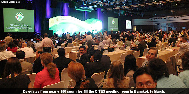 CITES delegates