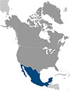 Mexico Mexico