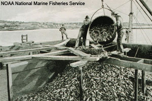 NOAA National Marine Fisheries Service