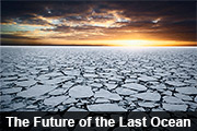 The Future of the Last Ocean
