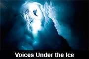 Voices under the ice