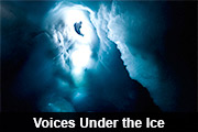 Voices under the ice