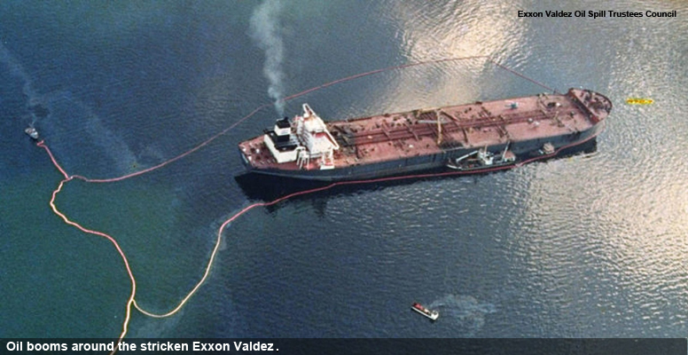 Photo credit: Exxon Valdez Oil Spill Trustees Council