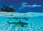 Global Shark Conservation