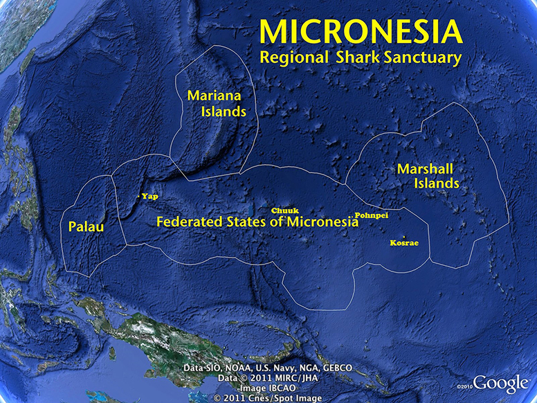 Micronesia Regional Shark Sanctuary