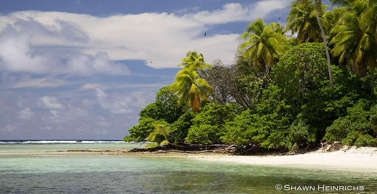 shrk-marshall-beach-776-RC.jpg shrk-marshall-beach-776-RC.jpg