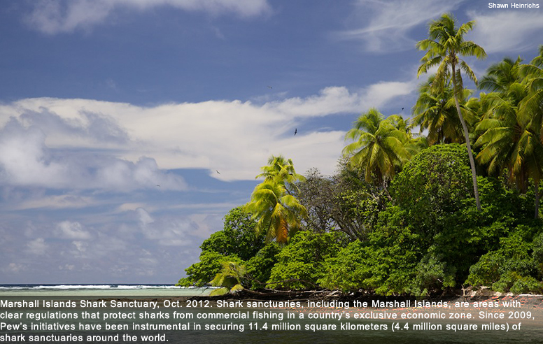 Marshall Islands Shark Sanctuary