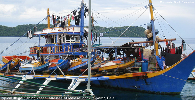 Illegal fishing boat