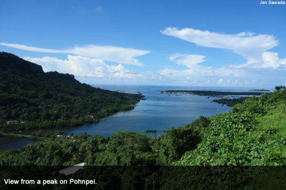 shrk-pohnpei-peak-588-TE.jpg