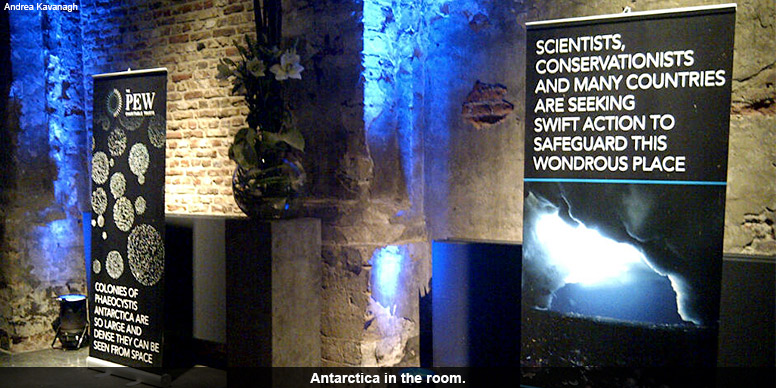 Antarctica in the room.