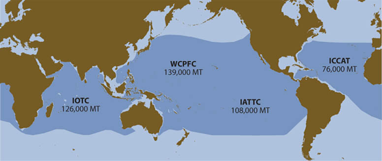 tuna-bigeye-map-range-776-lw