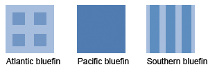 tuna-bluefin-guide-lw