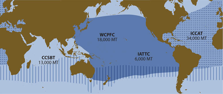 tuna-bluefin-range-map-776-lw-2