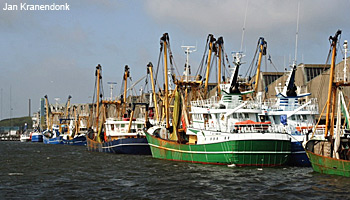 Illegal, Unregulated and Unreported Fishing Illegal, Unregulated and Unreported Fishing