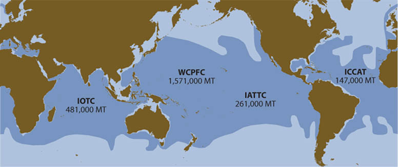 tuna-skipjack-map-range-776-lw
