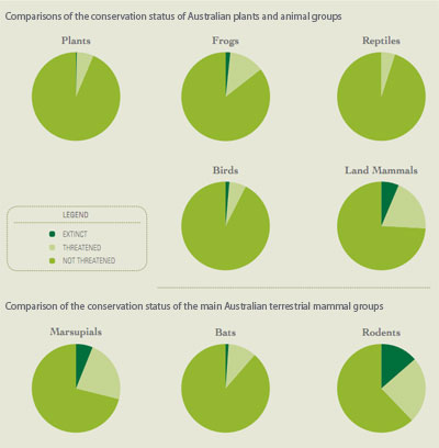 Disappearing native mammals of northern Australia Disappearing native mammals of northern Australia