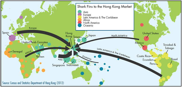 ip-hong-kong-776-lw