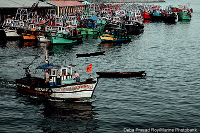 Fishing Harbor, India