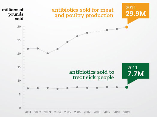 Infographic: Record High Antibiotic Sales for Meat and Poultry Production