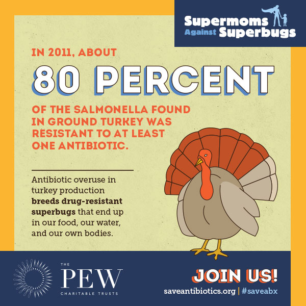 Make this Thanksgiving a Sustainable One Make this Thanksgiving a Sustainable One