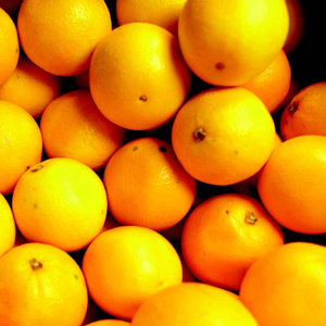 KSHF_Oranges_300x300.jpg