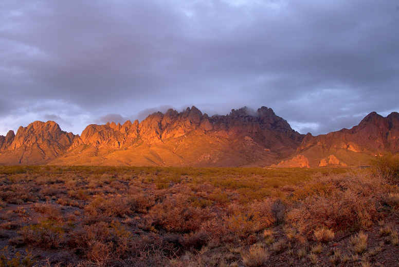 Organ Mountains-Desert Peaks