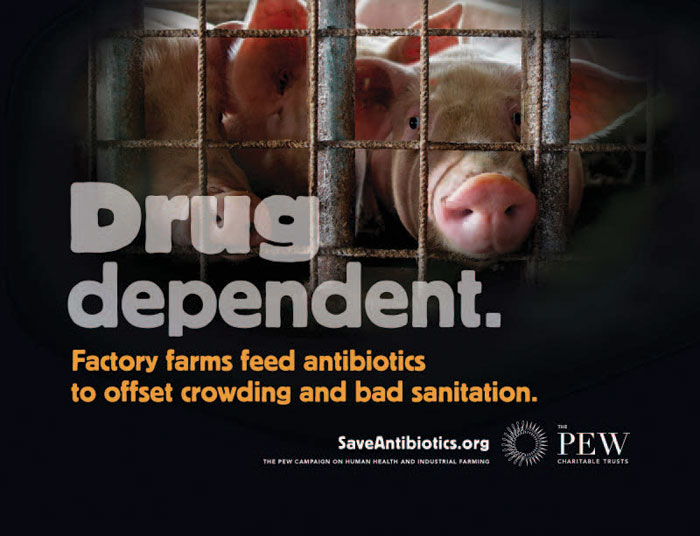 Food Animal Production and Antibiotic Resistance | The Pew Charitable Trusts