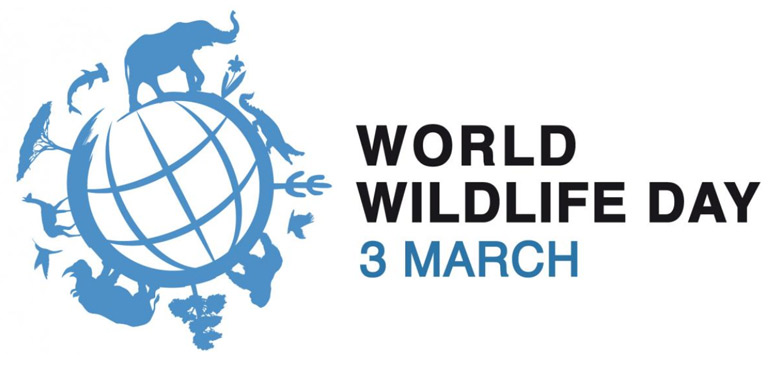 World Wildlfe Day Banner