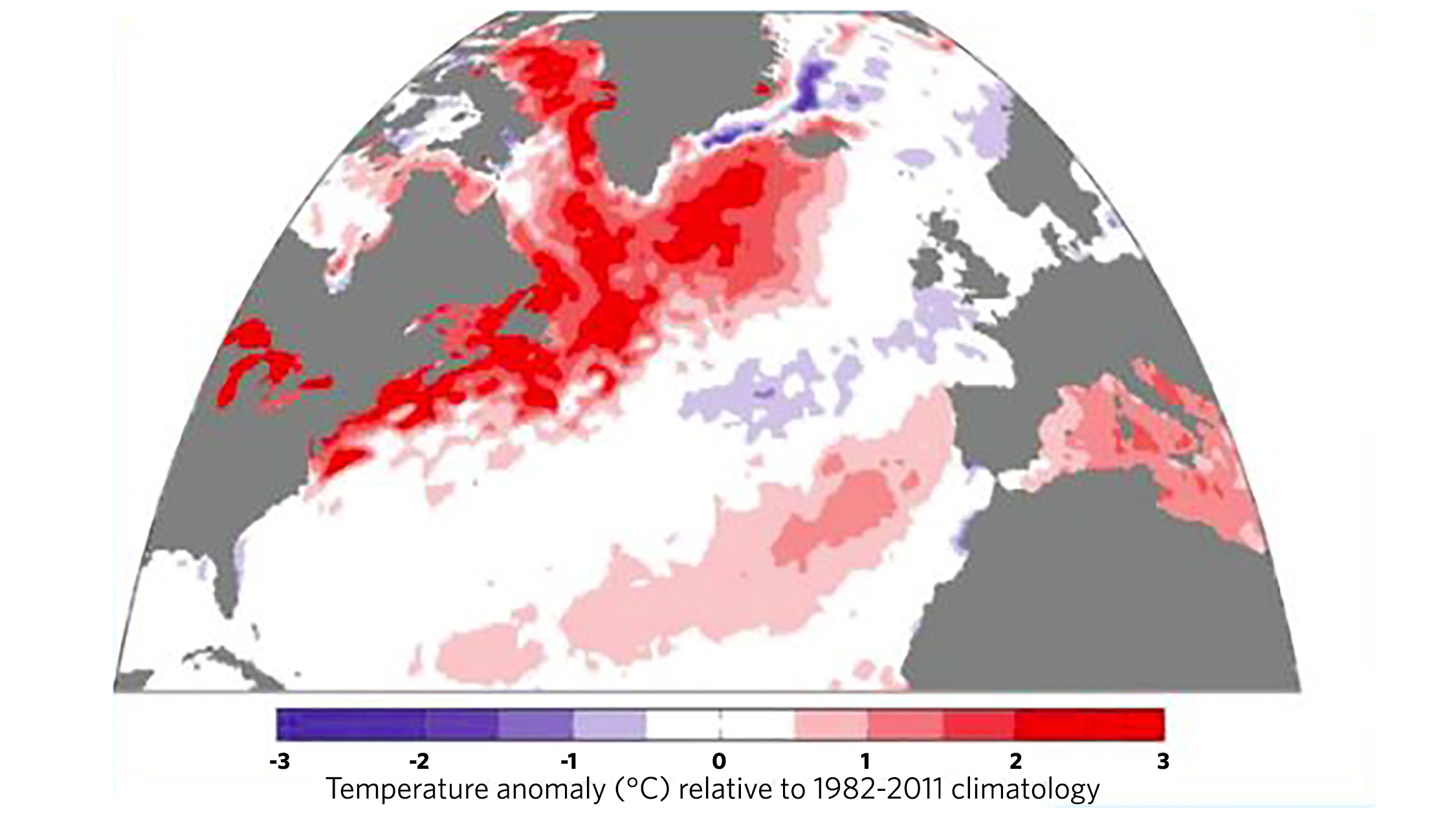 A map of sea temperatures during the “ocean heat wave” of 2012, when warm waters disrupted the food web and puffin chicks starved.