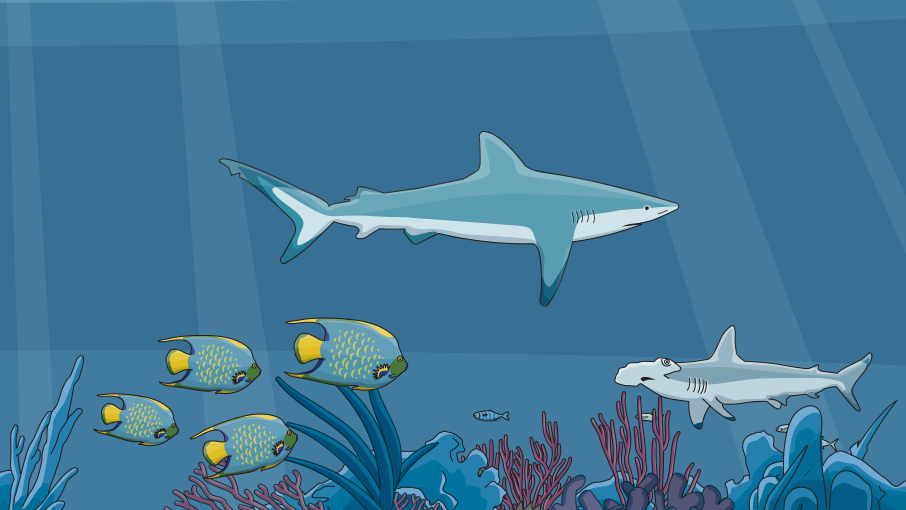 Illustrated reef shark
