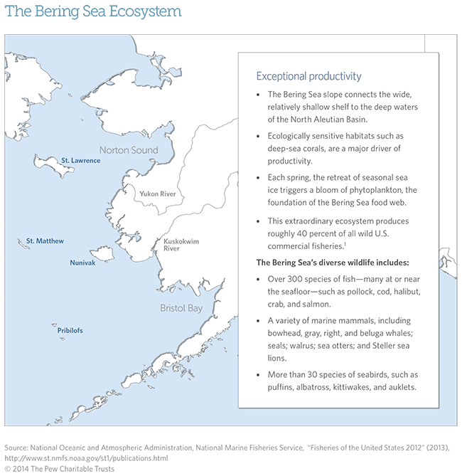 Ecosystem-based Fishery Management in the Bering Sea
