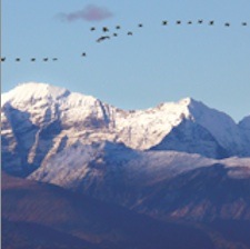 photo of mountain range in Alaska