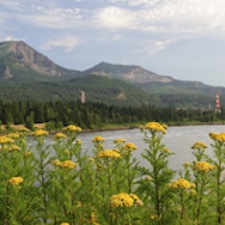 Photo of Columbia River in OR