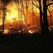 photo of California wildfire