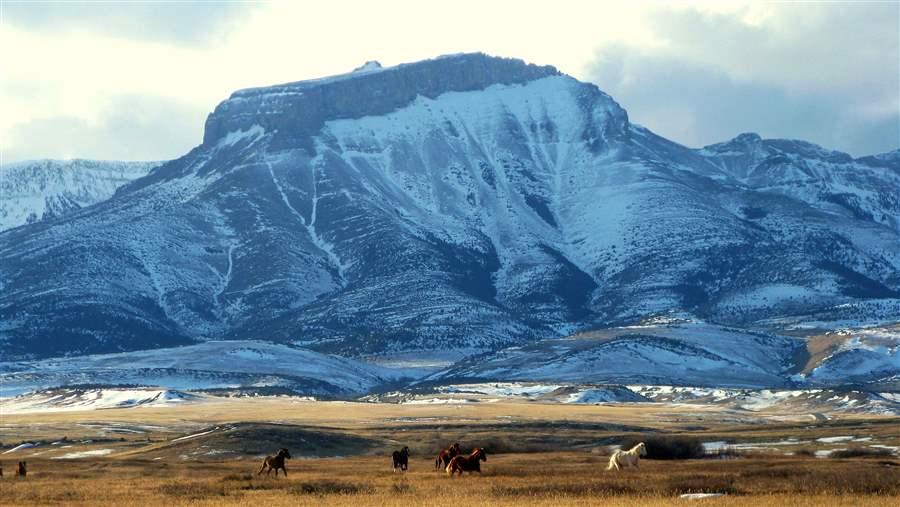Rocky Mountain Front, Montana